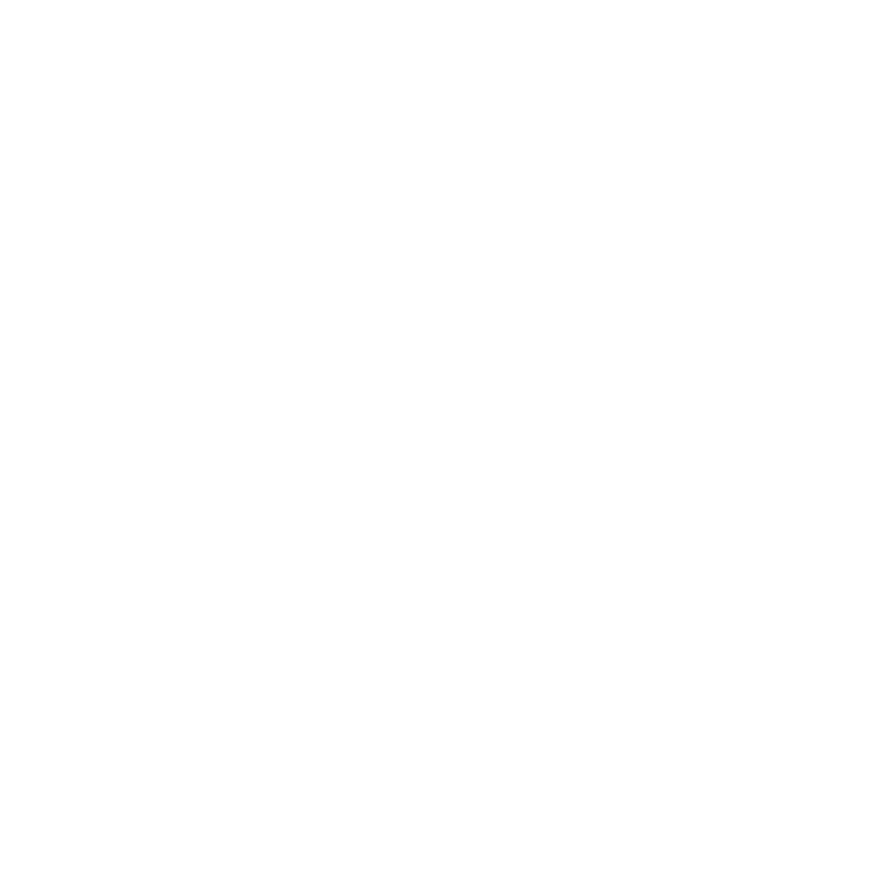 Imviva Official Website Development